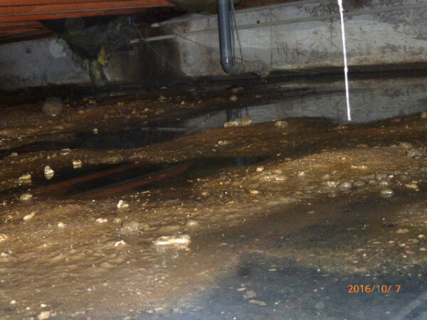 同じく床下に溜まっている水の状態です　常に排水管からの水漏れにより排水がたまり、湿気がこもっている状態になっていました
